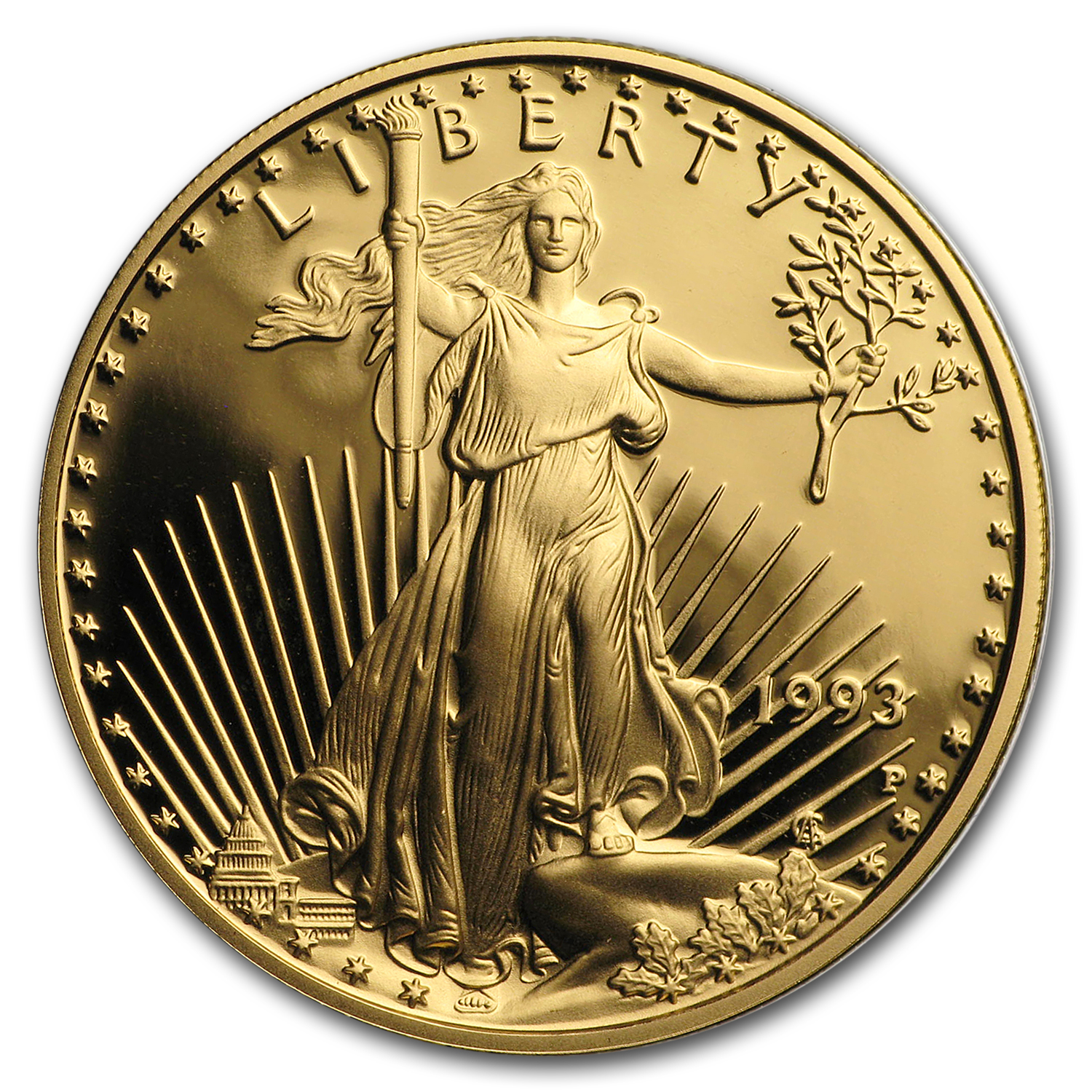 1993-P 1/2 oz Proof American Gold Eagle (Capsule Only)