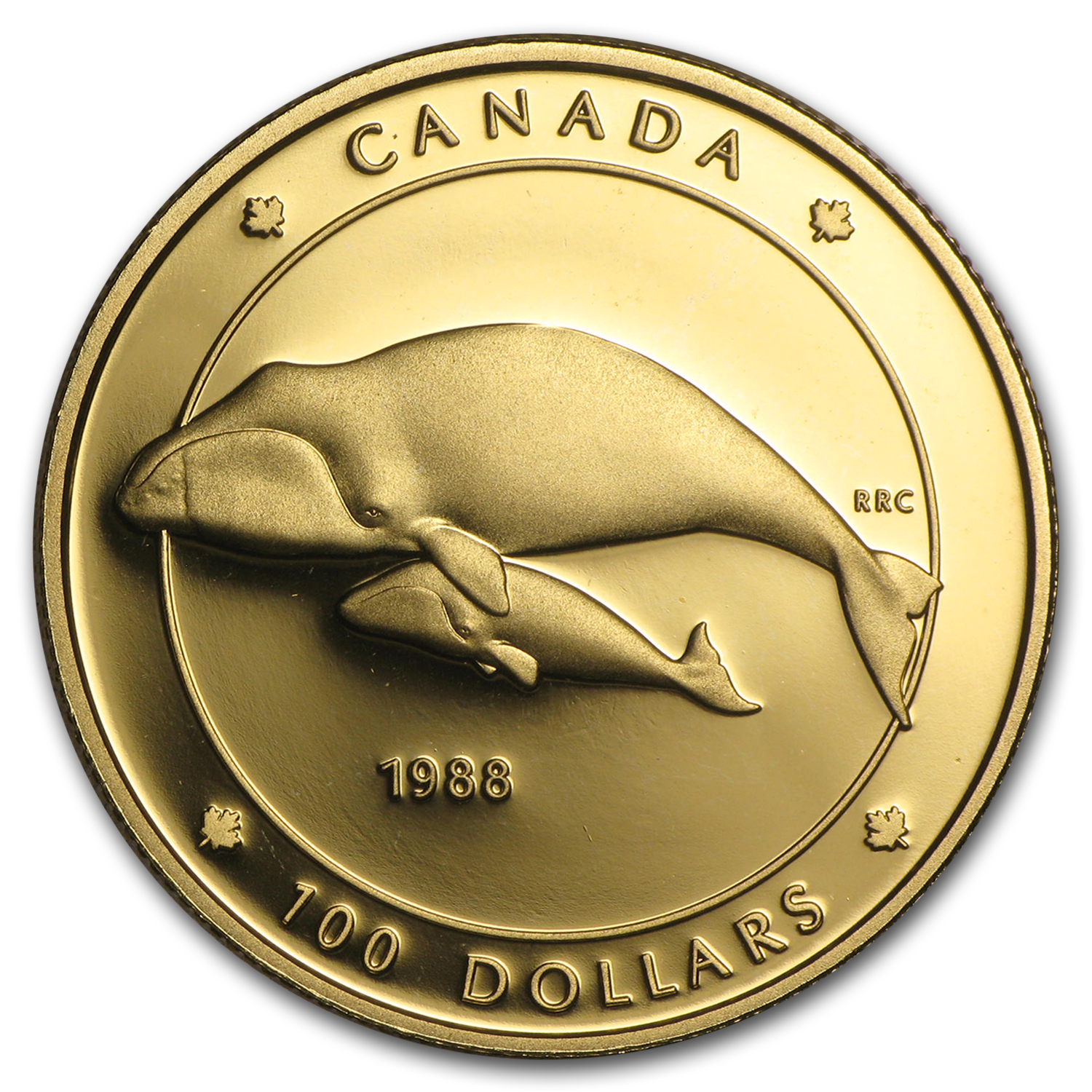 1988 Canada 1/4 oz Proof Gold $100 Bowhead Whale