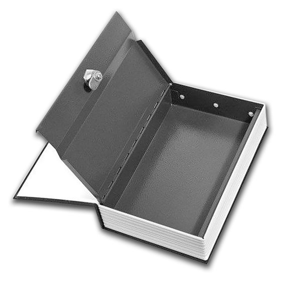 Diversion Safe - Dictionary Book Lock Box
