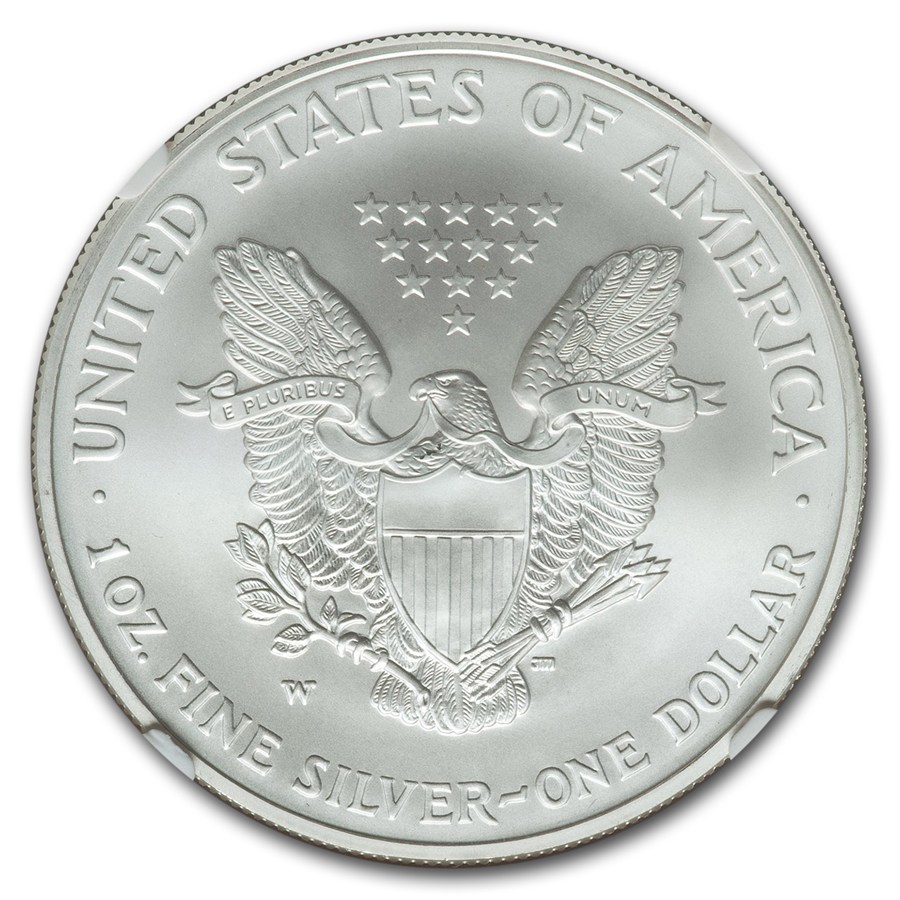 2008-W Burnished American Silver Eagle MS-70 NGC (Rev '07, Moy)