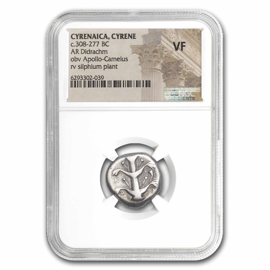 Cyrenaica Cyrene AR Didrachm 308-277 BC VF NGC (Extinct Silphium)
