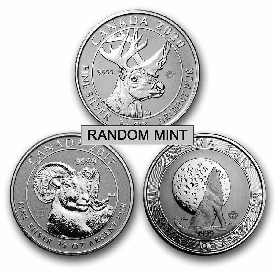 3/4 oz Silver Coin - Random Mint