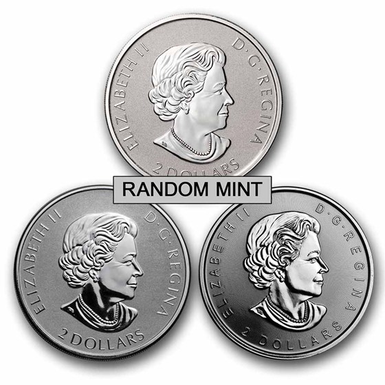 3/4 oz Silver Coin - Random Mint