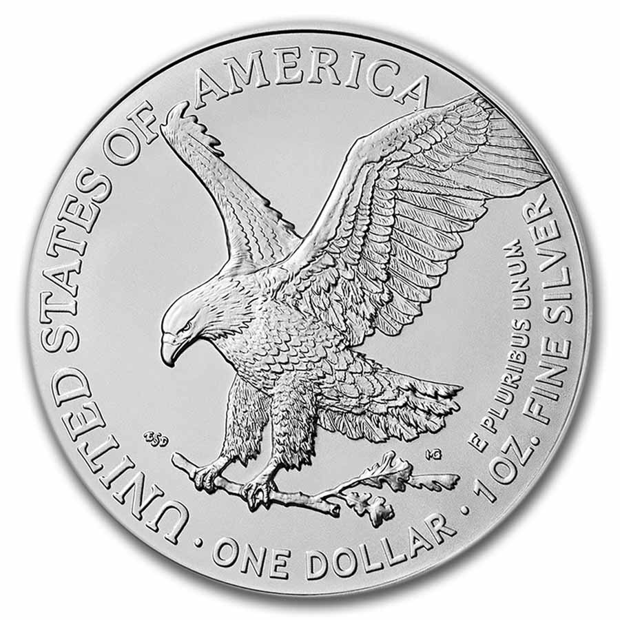 2024-(P) American Silver Eagle Star Privy MS-70 NGC (FDI)