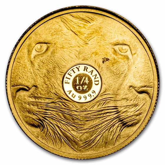 2025 South Africa 1/4 oz Proof Gold Big Five Lion (w/ Box &amp; COA)