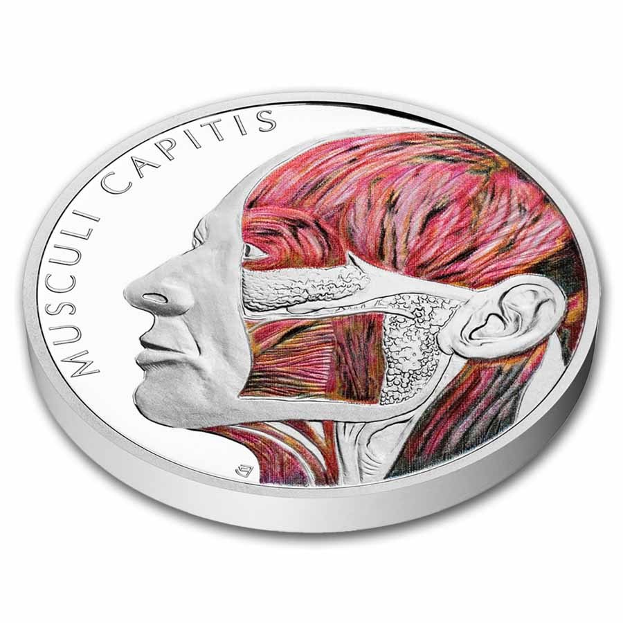 2025 Niue 1 oz Silver Proof Colorized Human Body - Head Muscles