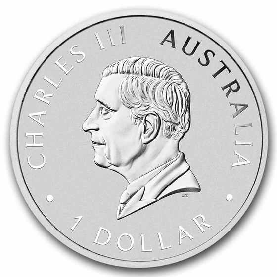 2025 AUS 1 oz Silver Koala Beijing Expo Colorized Panda Privy