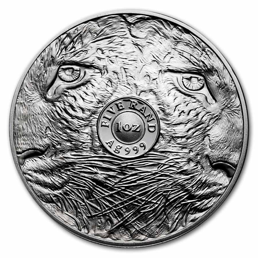 2026 South Africa 2-Coin Silver Big Five Leopard Proof Set