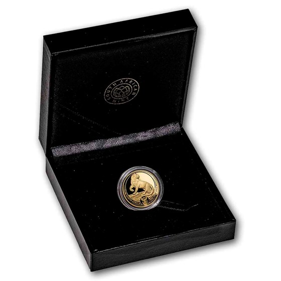2026 South Africa 1/4 oz Proof Gold Big Five Leopard (Box &amp; COA)