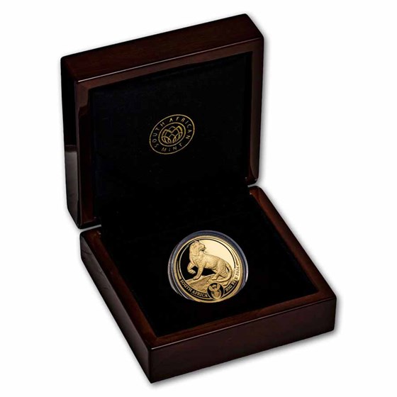 2026 South Africa 1 oz Proof Gold Big Five Leopard (w/ Box &amp; COA)
