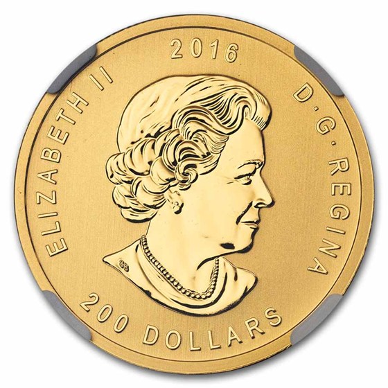 2016 Canada 1 oz Gold Roaring Grizzly Bear .99999 BU MS-69 NGC