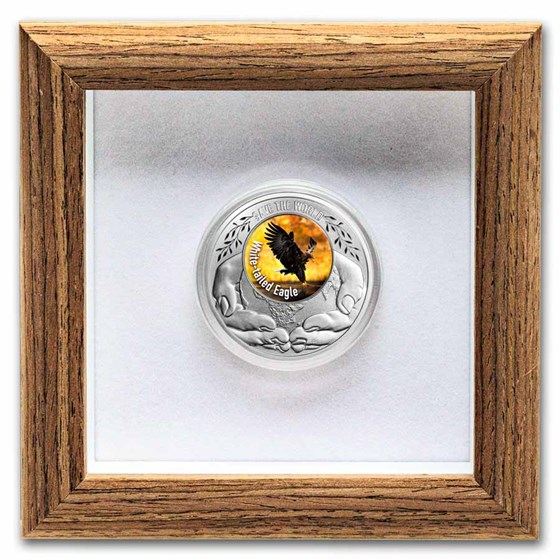 2026 Rep. of Cameroon Silver Save the World: White-Tailed Eagle