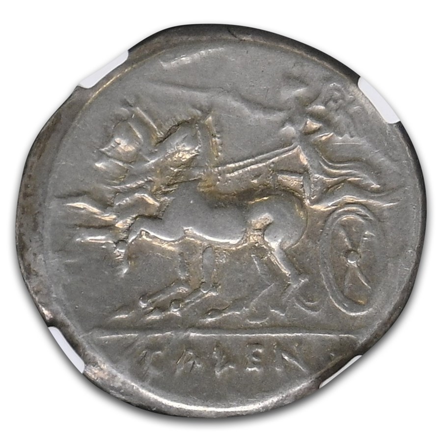 Campania Cales AR Didrachm (265-240 BC) VF NGC