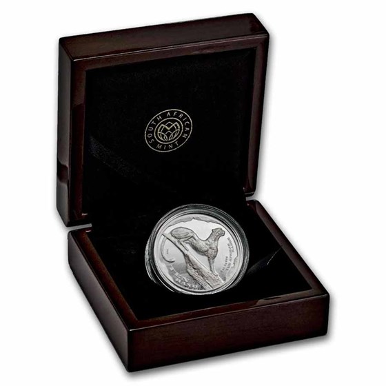 2026 South Africa 2 oz Silver The African Range: Cheetah Survey