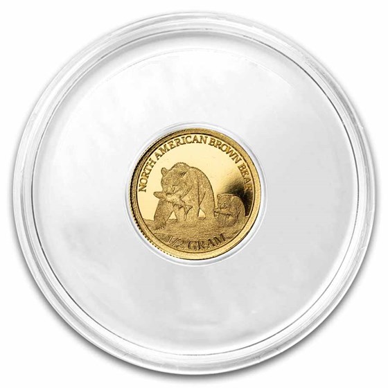 1/2 gram Gold Round: North American Brown Bear - MPM