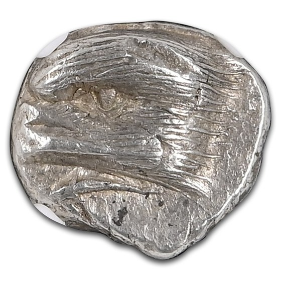 Paphlagonia, Sinope AR Drachm (5th Century BC) AU NGC (3/4)