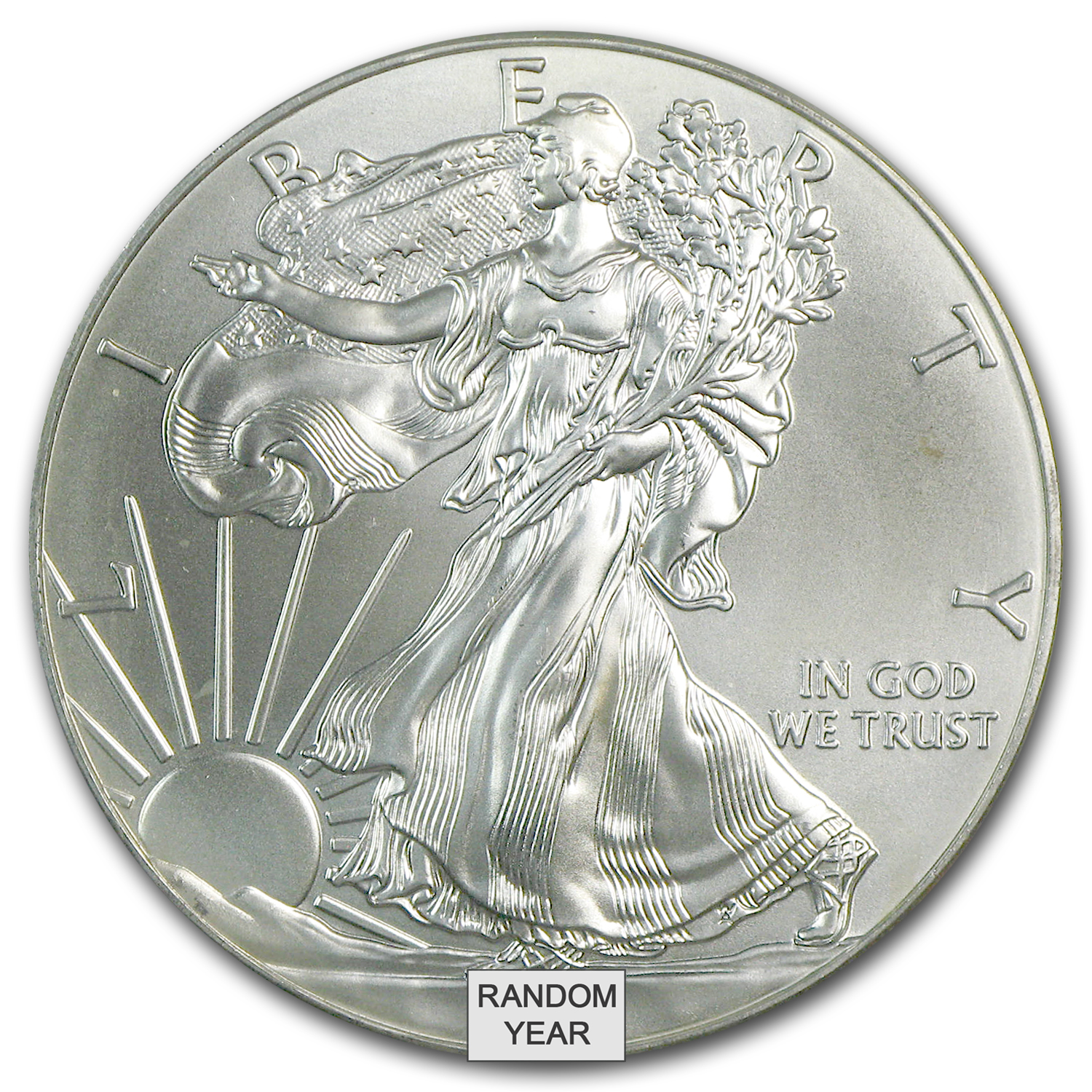 1 oz American Silver Eagle (Cull, Damaged, etc.) 1 oz American Silver Eagle (Cull, Damaged, etc.)