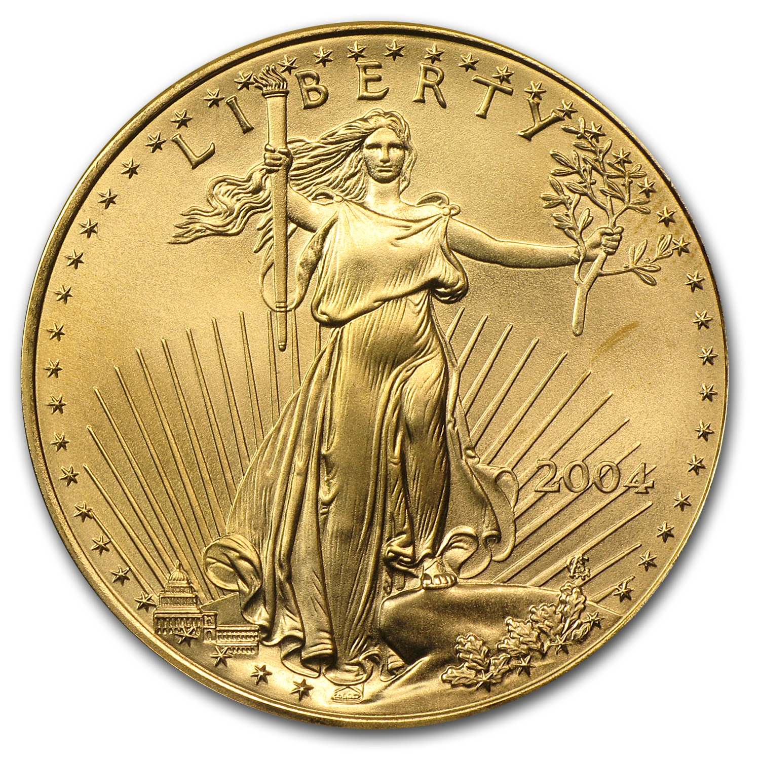 2004 1 oz American Gold Eagle BU 2004 1 oz American Gold Eagle BU